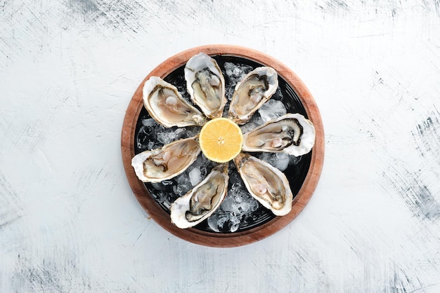 Frische Austern in einem Teller mit Eis und Zitrone Meeresfrüchte Draufsicht Freier Kopierplatz