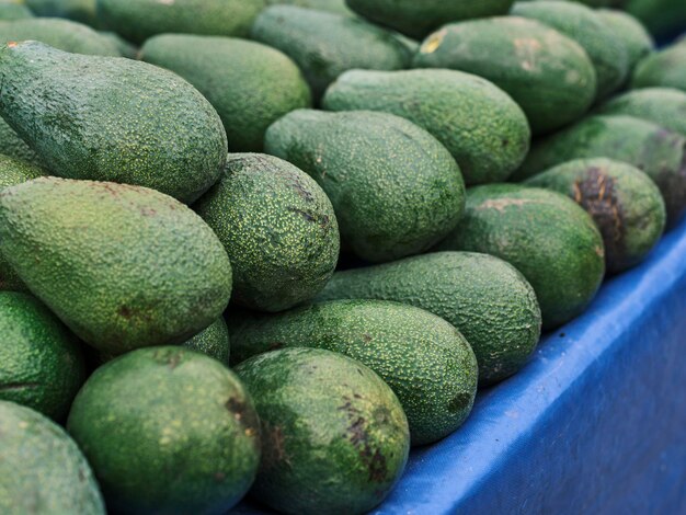 Frische Avocados auf dem Markt