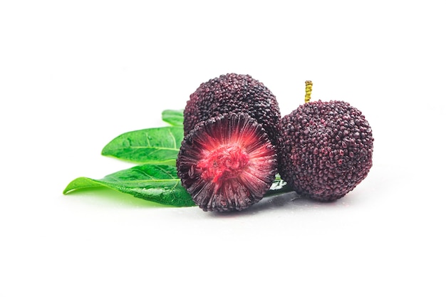 Frische Bayberry auf weißem Hintergrund