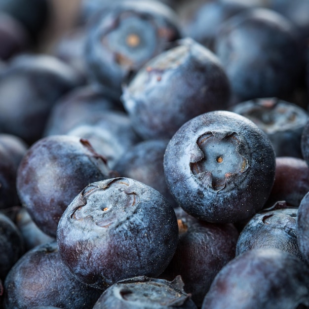 Frische Beeren - Blaubeerhintergrundnahaufnahme