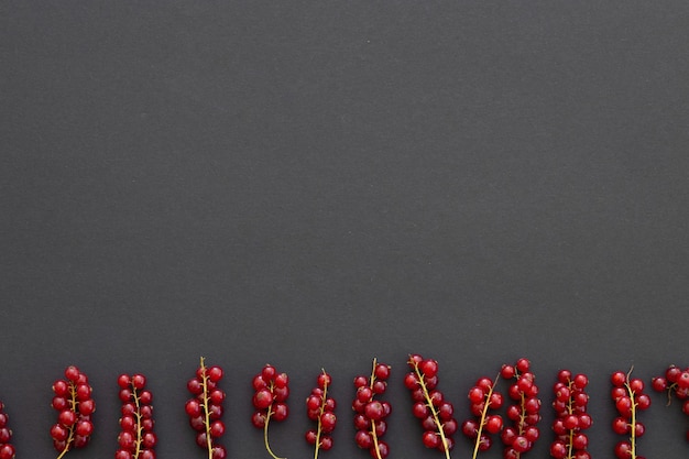 Frische Beeren der roten Johannisbeere auf schwarzer Hintergrundnahaufnahme