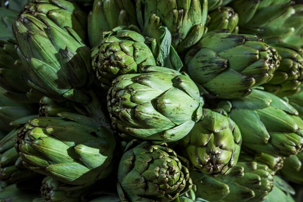 frische Bio-Artischocken vor dem Kochen in einem Restaurant Cynara scolymus Asteraceae Familie