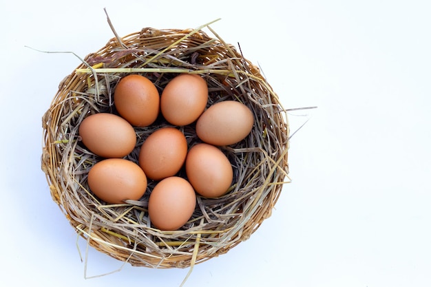 Frische Bio-Eier in einem Strohnest