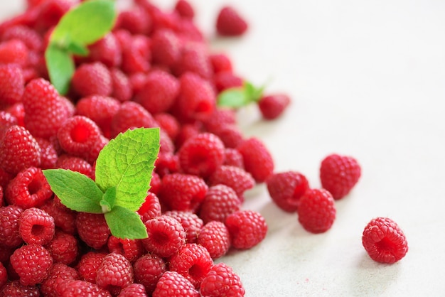 Frische Bio-Himbeeren mit Minze