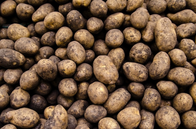 Frische Bio-Kartoffeln auf dem Markt verkauft