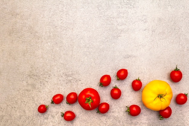 Frische Bio-Tomaten