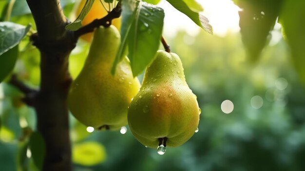 frische Birne am Baum