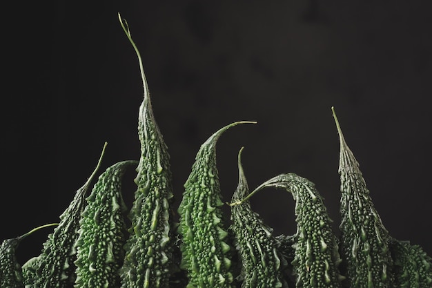 Foto frische bittere melonen - bittere kürbisse - spezielles gemüse gesundes essen