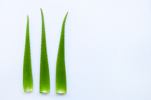 Frische Blätter der Aloe Vera auf Weiß