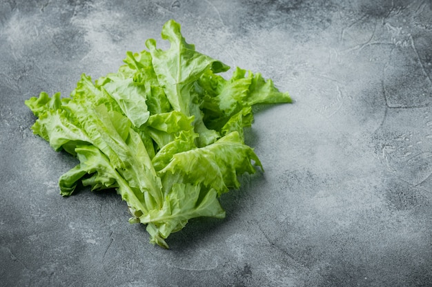 Frische Blätter des grünen Salatsalats, auf grauem Hintergrund mit Kopienraum für Text