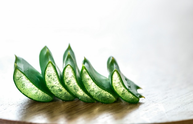 Frische Blätter von Aloe Vera