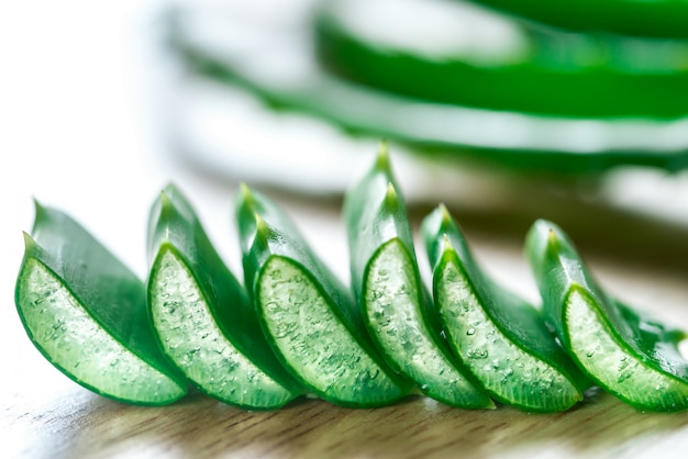 Foto frische blätter von aloe vera