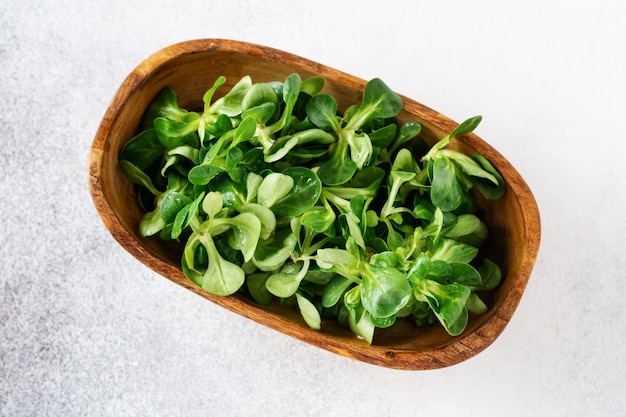 Frische Blätter von jungem Mais oder Lammsalat