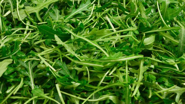 Frische Blätter von Rucola als Hintergrund