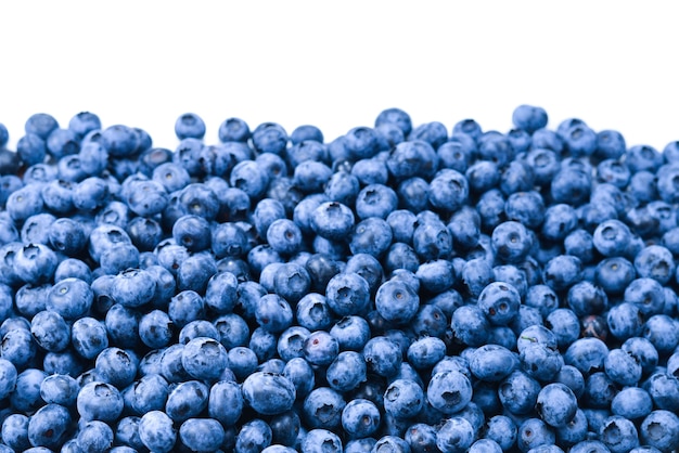 Frische Blaubeere. Textur Blaubeerbeeren schließen.