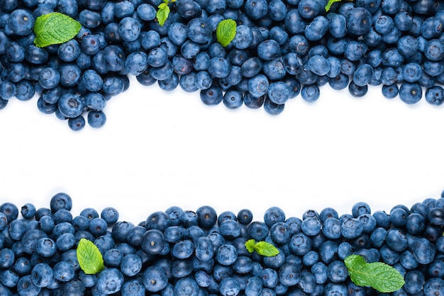 Frische Blaubeere und Minze lokalisiert auf weißem Raum. Speicherplatz kopieren.