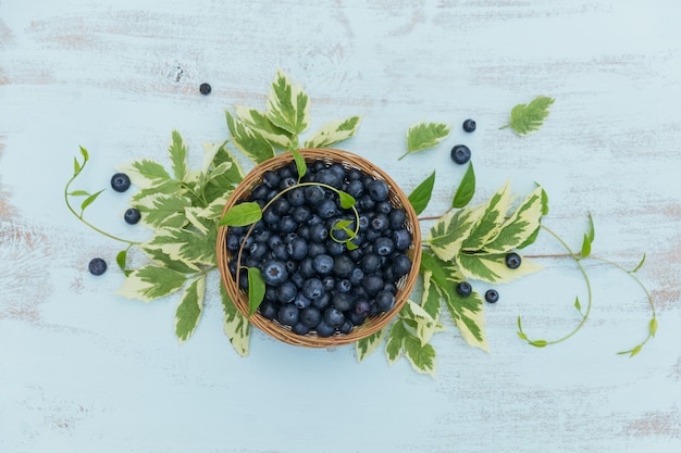 Frische Blaubeeren im Korb mit Blättern, Draufsicht.