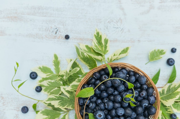 Frische Blaubeeren im Korb mit der Draufsicht des Blattmusters. Gesundes Essen auf weißem Tischmodell