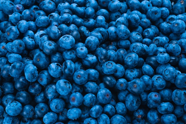 Frische Blaubeeren Nahaufnahme Draufsicht