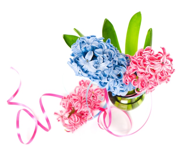 Frische blaue und rosa Frühlingshyazinthenblumen in einer Vase auf weißem Hintergrund
