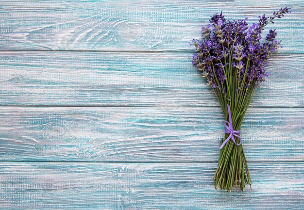 Frische Blumen aus Lavendel