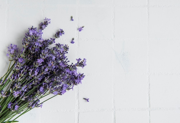 Frische Blumen des Lavendelblumenstraußes, Draufsicht auf weißem Fliesenhintergrund