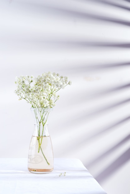 Frische Blumenzweige der Gypsophila-Pflanze in Glasvase auf Tisch bedeckten Textilstoff gegen Wand mit Schatten von Jalousie.