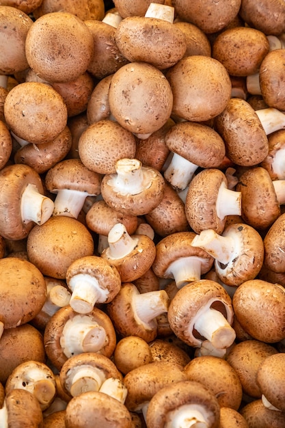 Frische braune Champignon-Nahaufnahme für den Verkauf auf dem türkischen Markt in Antalya in der Türkei