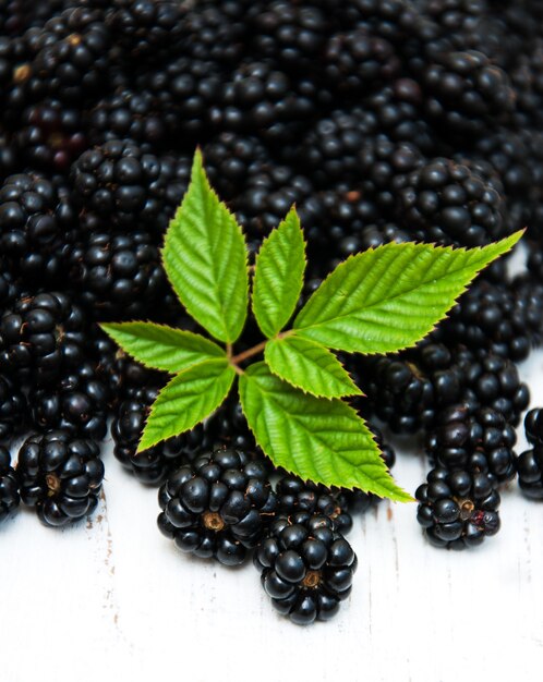 Frische Brombeeren auf einem weißen Holztisch