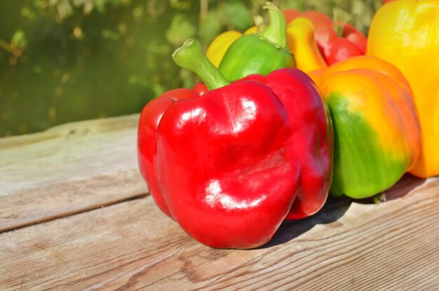 Frische bunte Paprika auf Holz Gesundes Bio-Gemüse