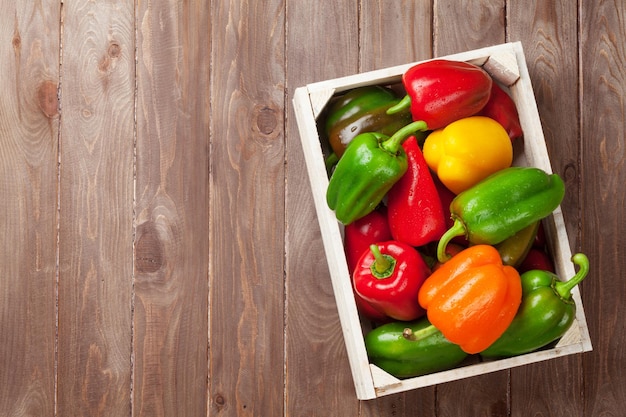 Foto frische bunte paprika im karton