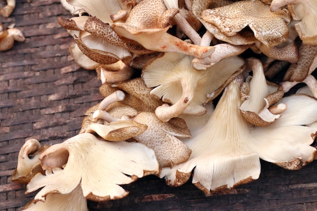 Frische Champignons auf dem Markt