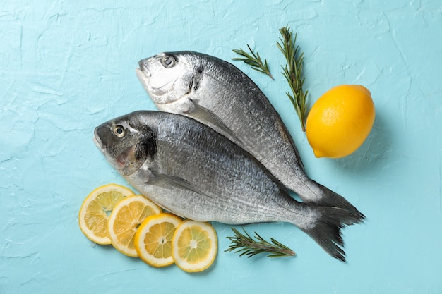 Frische Dorado-Fische, Zitrone und Rosmarin auf blauem Hintergrund, Draufsicht