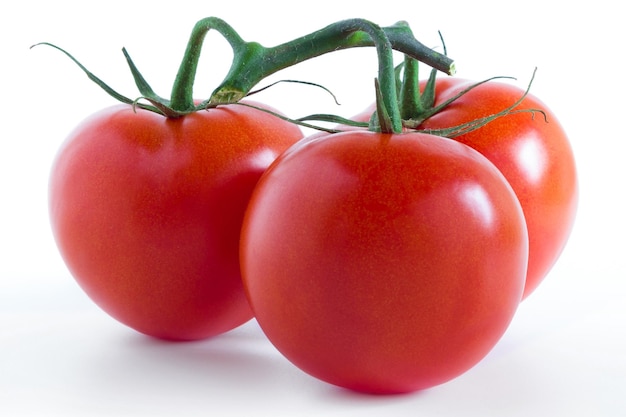 Frische drei Tomaten