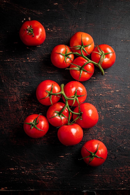 Frische duftende Tomaten auf einem Zweig