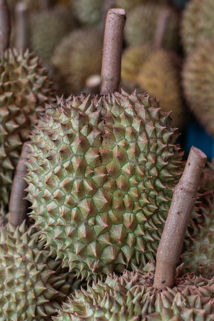 Frische Durian auf dem Markt Thailand