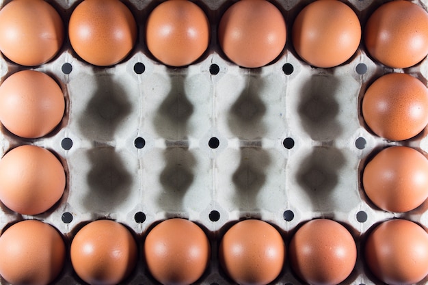 Frische Eier vom Bauernhof im Panelweißbuch.