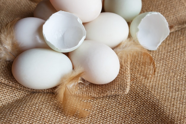 Frische Enteneier und Feder auf Sackleinen