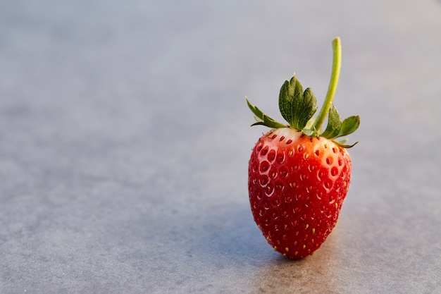 Frische Erdbeere auf Grau