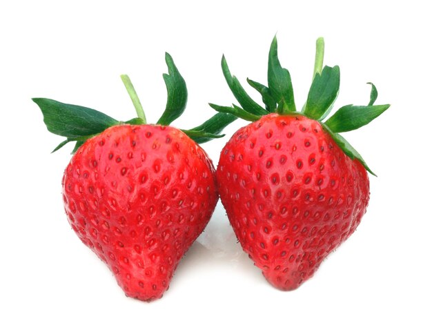 Frische erdbeere lecker hautnah