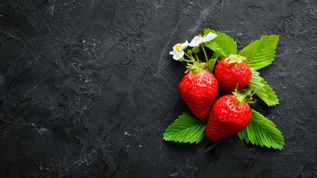 Frische Erdbeere mit Blättern auf schwarzem Steinhintergrund Beeren Draufsicht Freier Platz für Ihren Text