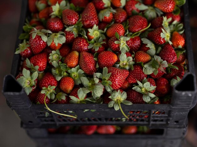 Frische Erdbeeren auf dem lokalen Markt