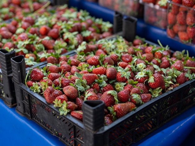 Frische Erdbeeren auf dem lokalen Markt