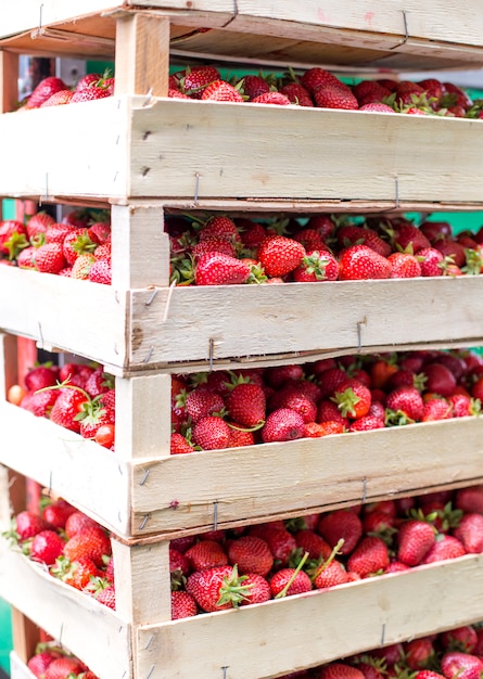 Frische Erdbeeren auf dem Markt