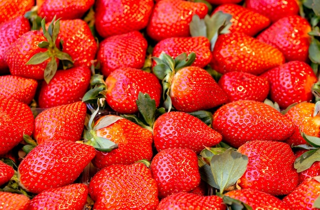 Frische Erdbeeren hautnah am Markt