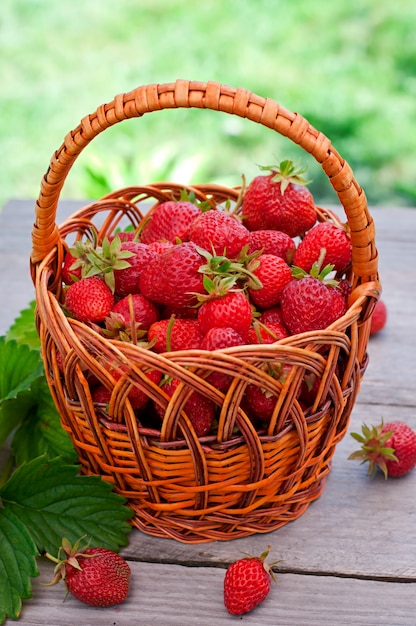 Frische Erdbeeren in einem Korb auf einer Tabelle im Garten
