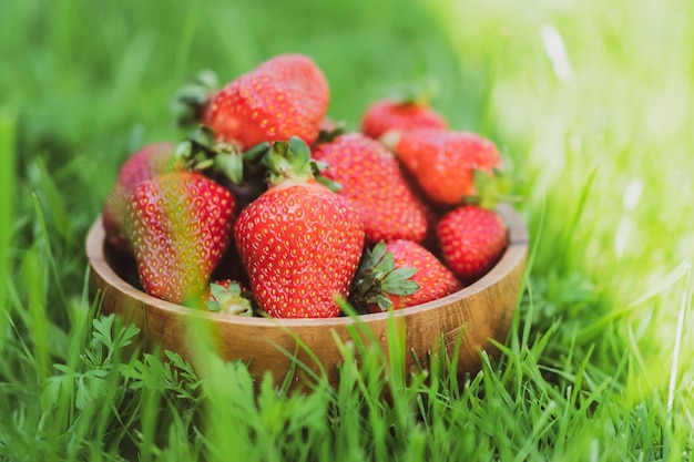 Frische Erdbeeren in Holzschale auf grünem Hintergrund