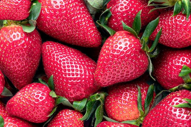 Frische Erdbeeren Nahaufnahme