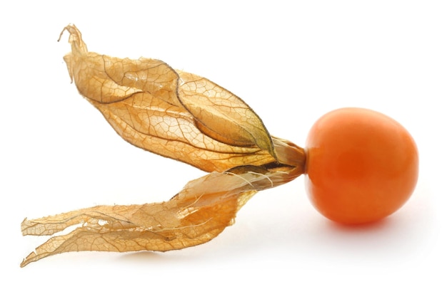 Frische essbare Physalis auf weißem Hintergrund