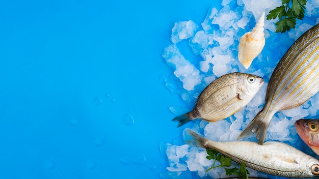 Frische Fische der Draufsicht auf Eiswürfeln